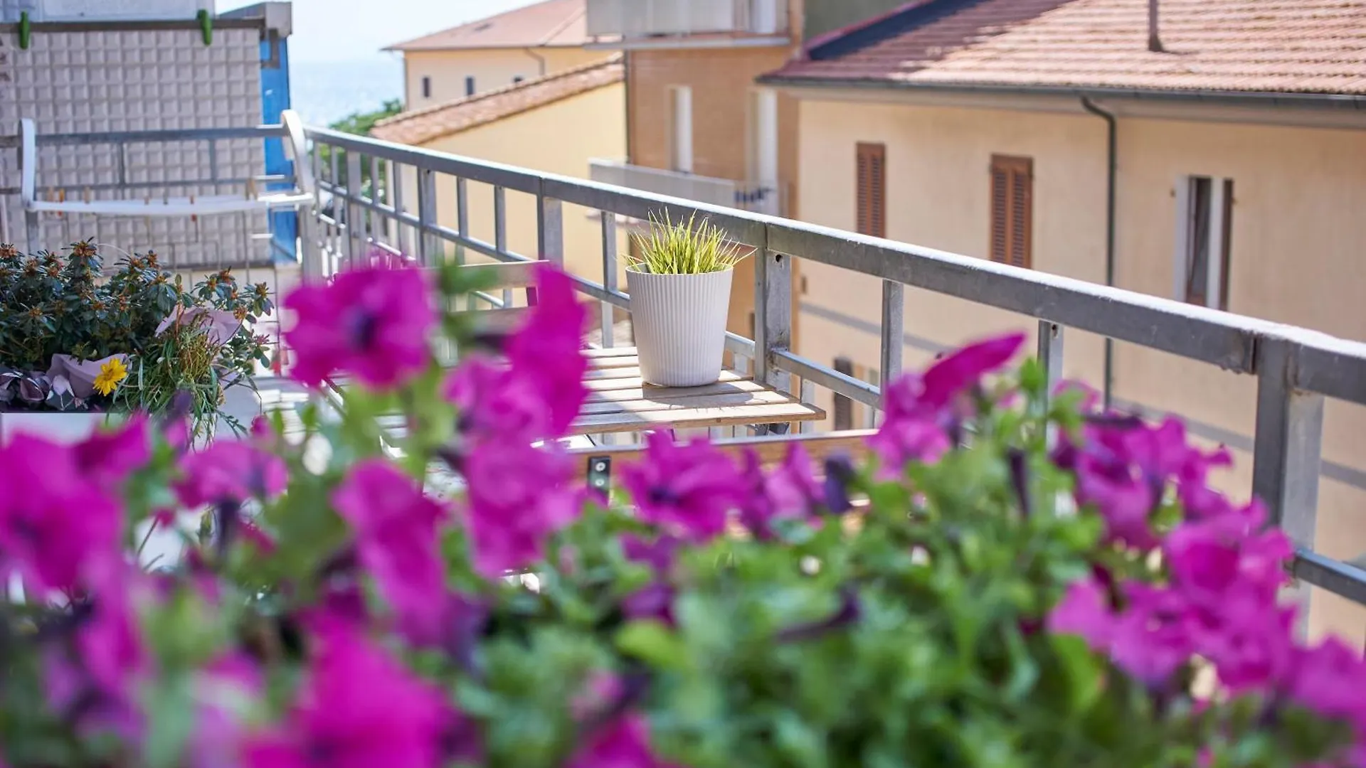 Guest house Affittacamere Via Roma 12 Follonica